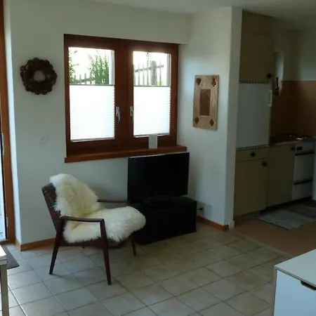 Apartament Holzji *