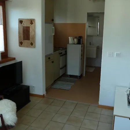 Holzji Apartament *